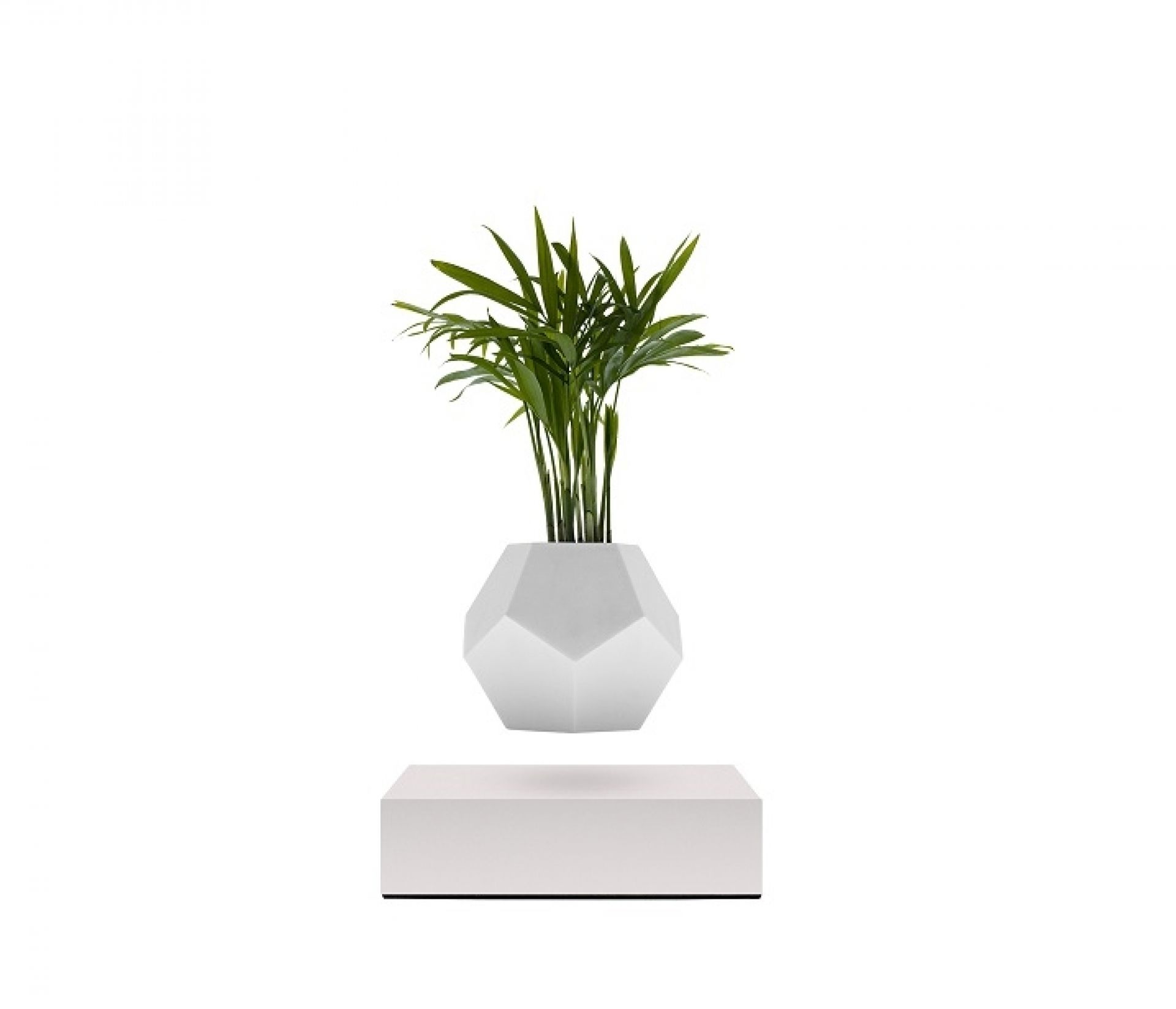 Lyfe flottant Vase Klein & More Bois d'érable blanc OFFRE SPECIALE